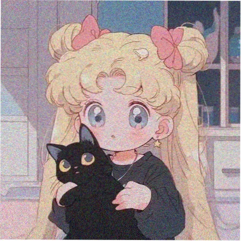 用户 夜里追更的猫 的头像
